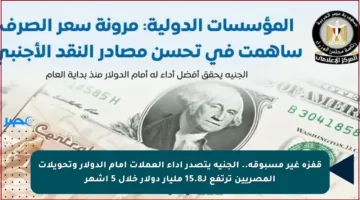 قفزة غير مسبوقة.. الجنيه يتصدر أداء العملات أمام الدولار وتحويلات المصريين ترتفع لـ15.8 مليار دولار خلال 5 أشهر